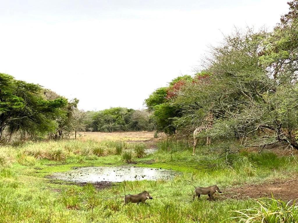 Hideaways Lazuli Bush Lodge, Hluhluwe Exterior foto